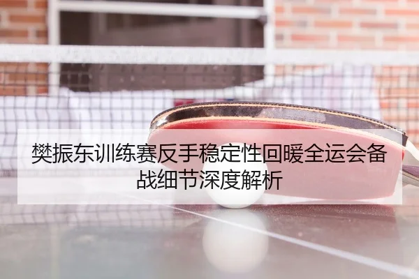樊振东训练赛反手稳定性回暖全运会备战细节深度解析