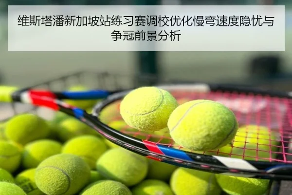 维斯塔潘新加坡站练习赛调校优化慢弯速度隐忧与争冠前景分析