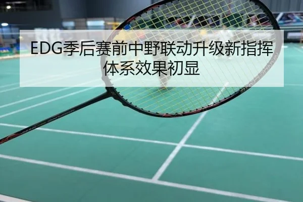 EDG季后赛前中野联动升级新指挥体系效果初显